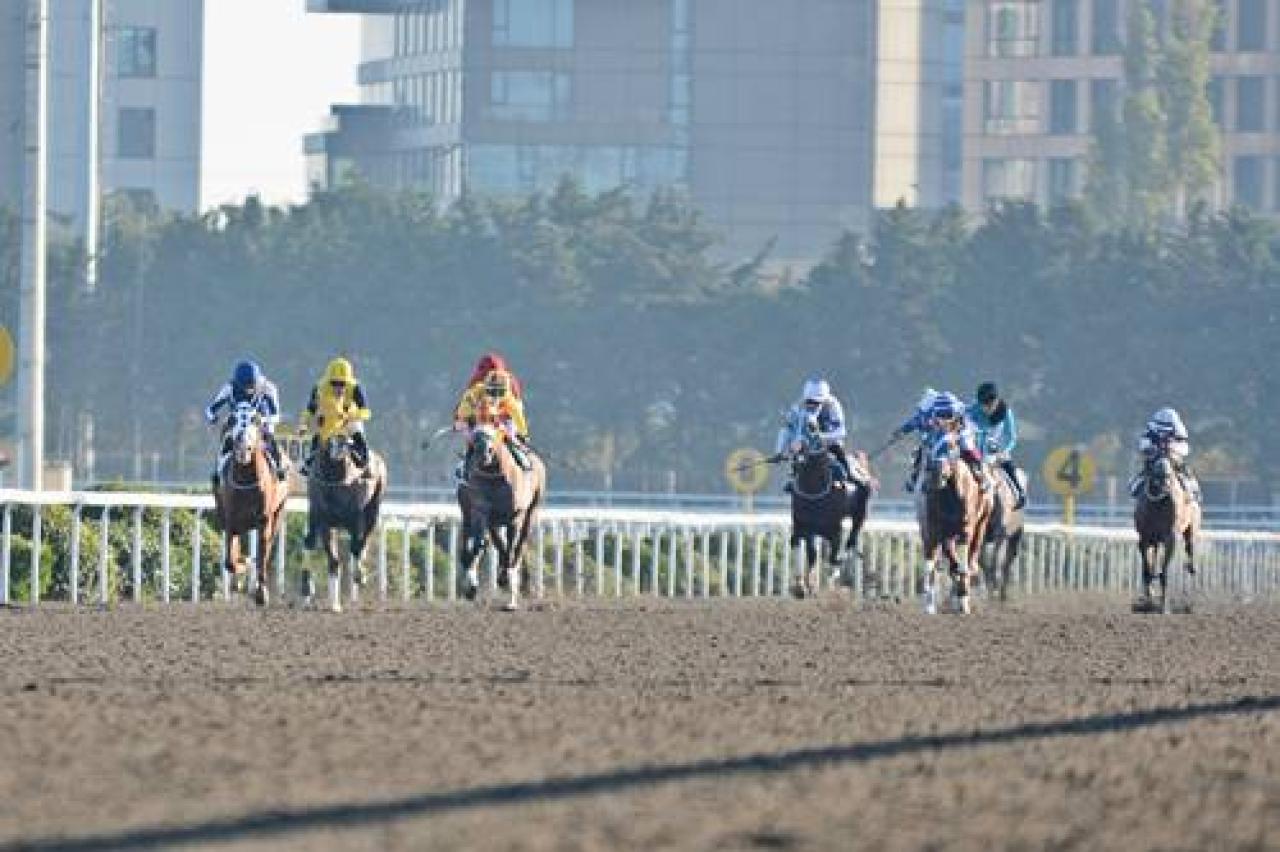 Kanuni Sultan Süleyman Koşusu'nu Deniz Efe kazandı