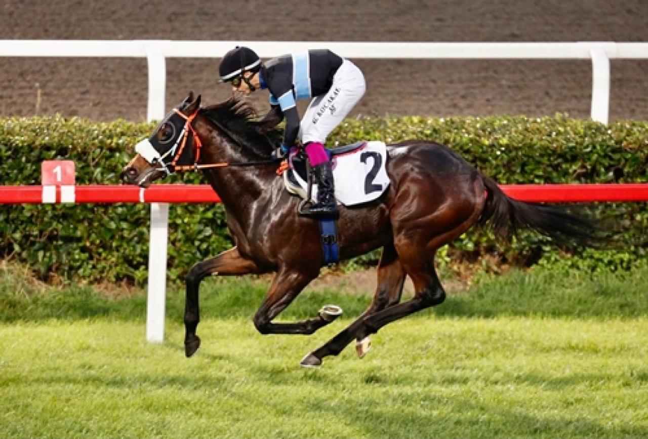 86. Çaldıran Koşusu Pazar günü Veliefendi'de!