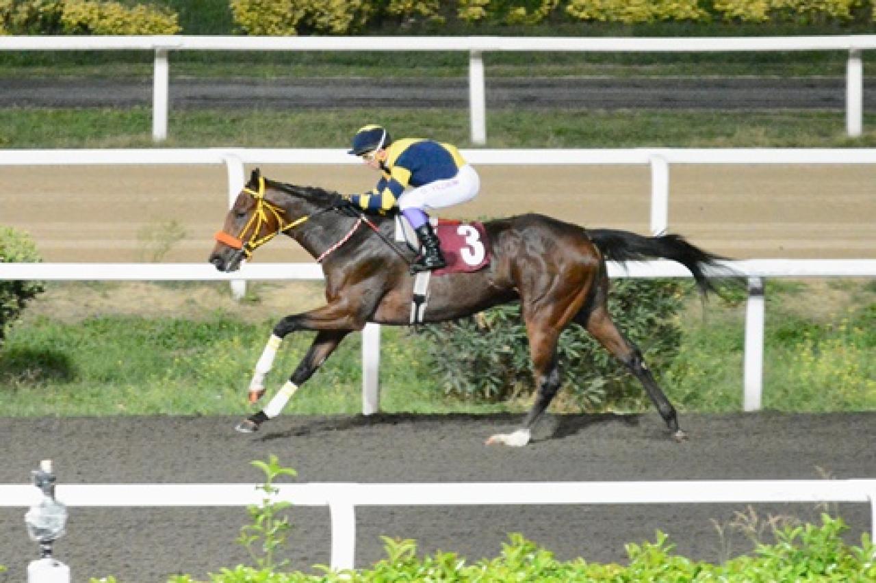 Günen Ökten Koşusu'nu kazanan Madras oldu