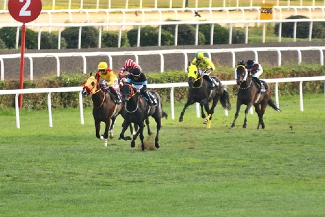 Sonbahar Büyük Handikapı Koşusu'nun galibi Endless Time oldu