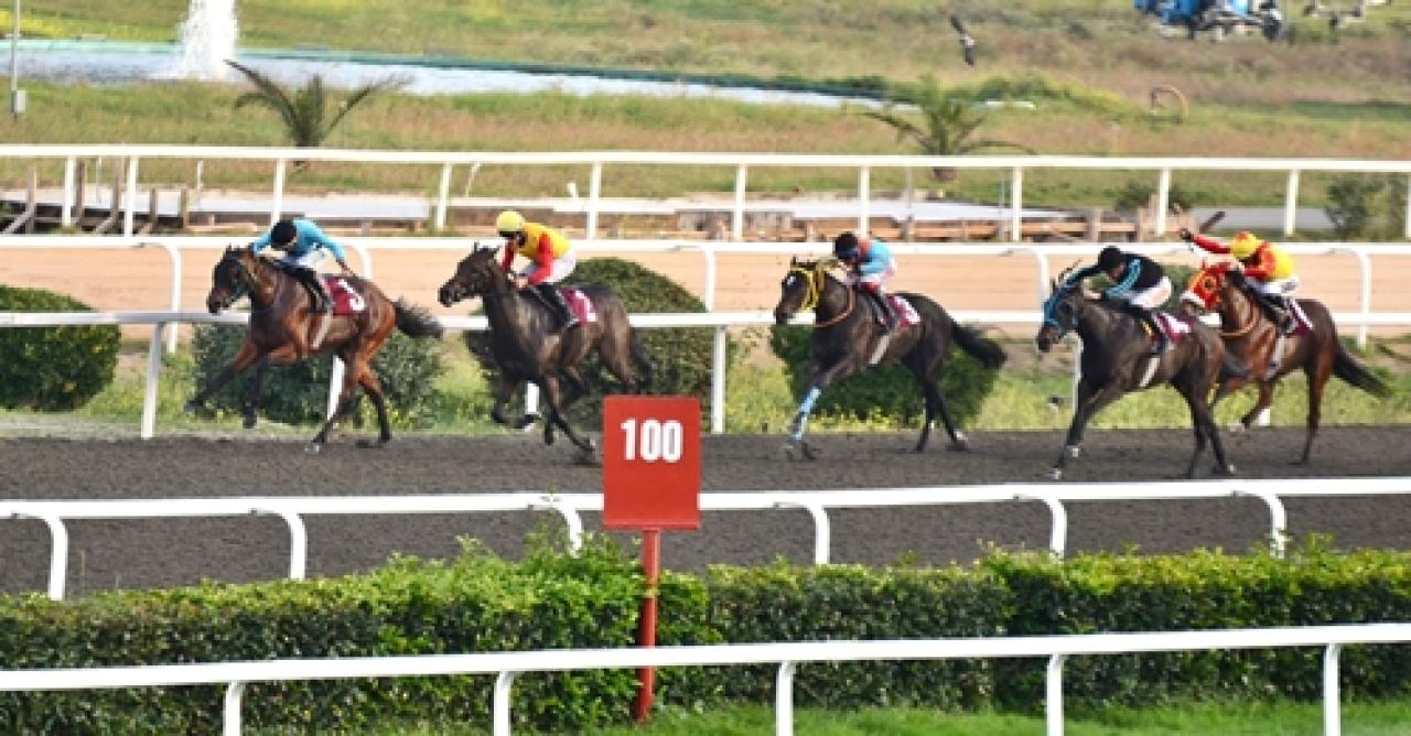 Nurullah Tolon Koşusu'nu Bella Mi Amore kazandı