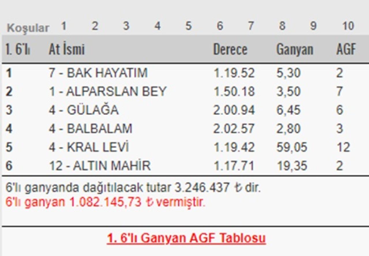 Adana yarışlarında 1. 6’lı Ganyan’ı 3 kişi bildi