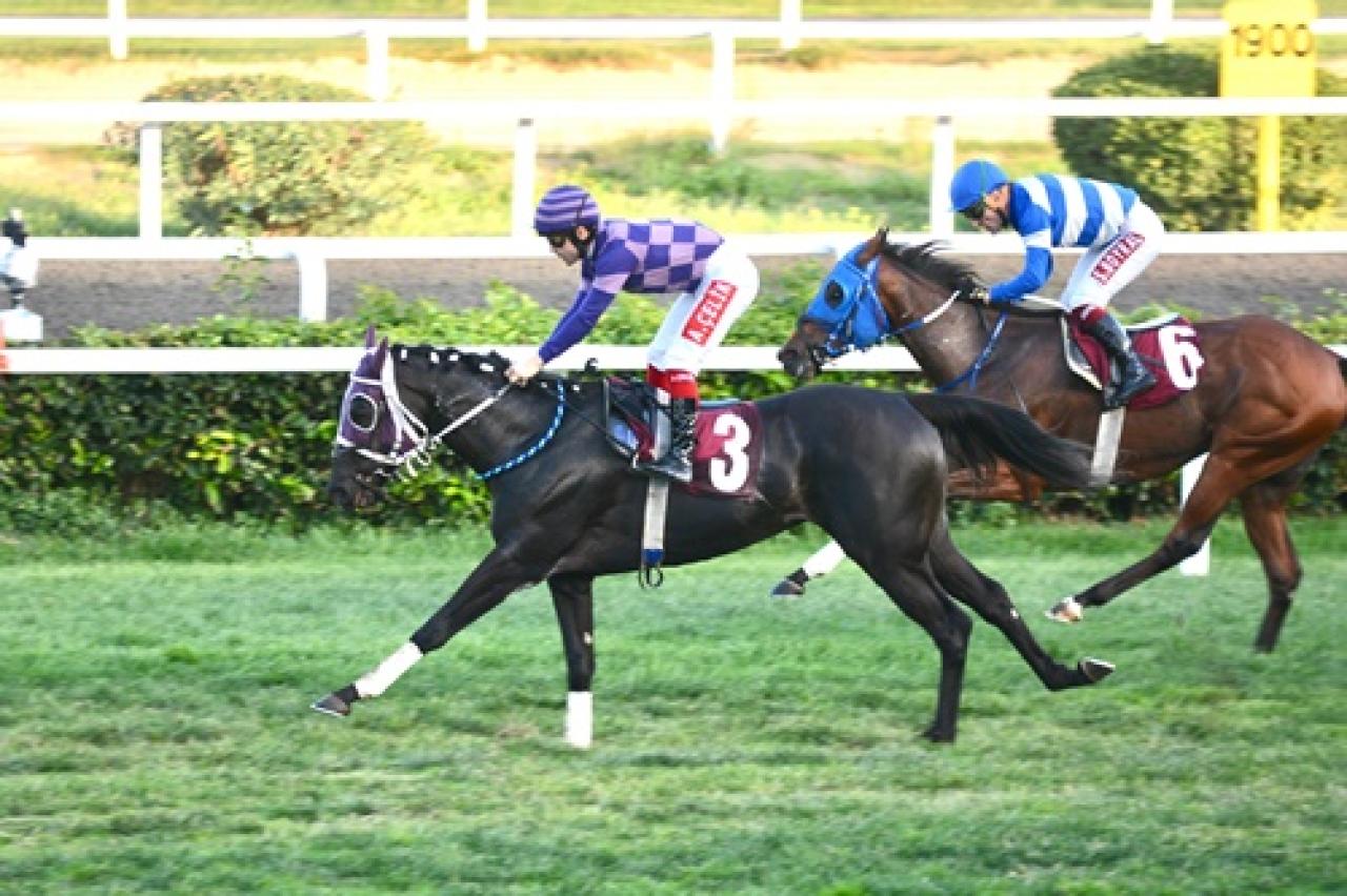 Eşref Somtürk Koşusu'nu İshakhan kazandı