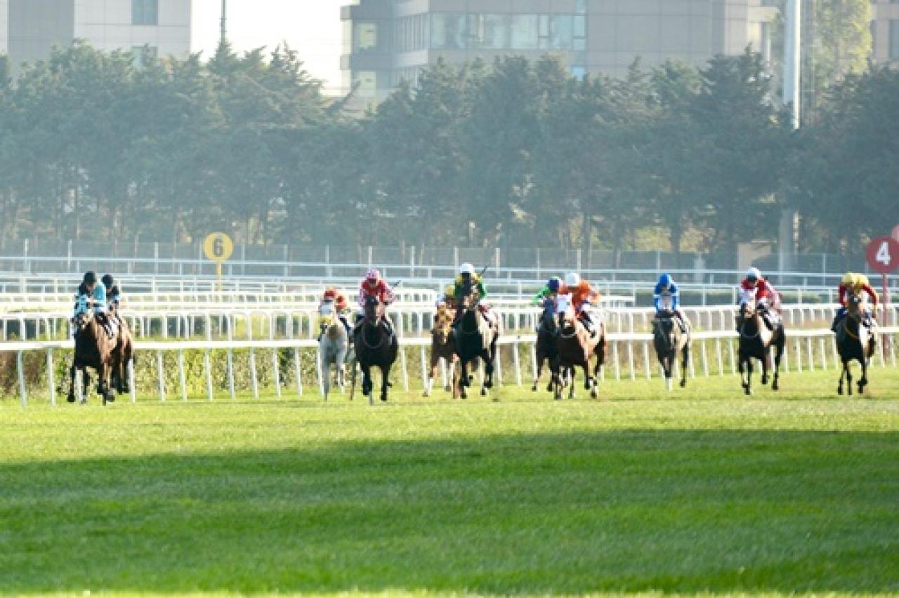 86. Çaldıran Koşusu'nda zaferin adı Blue Sunset