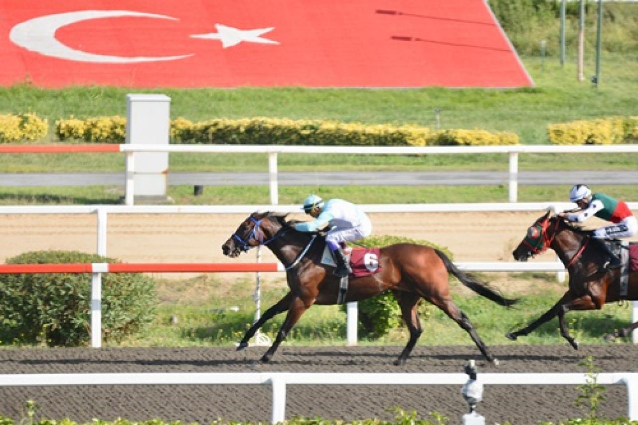 Enver Kadıoğlu Koşusu'nu Splendid kazandı