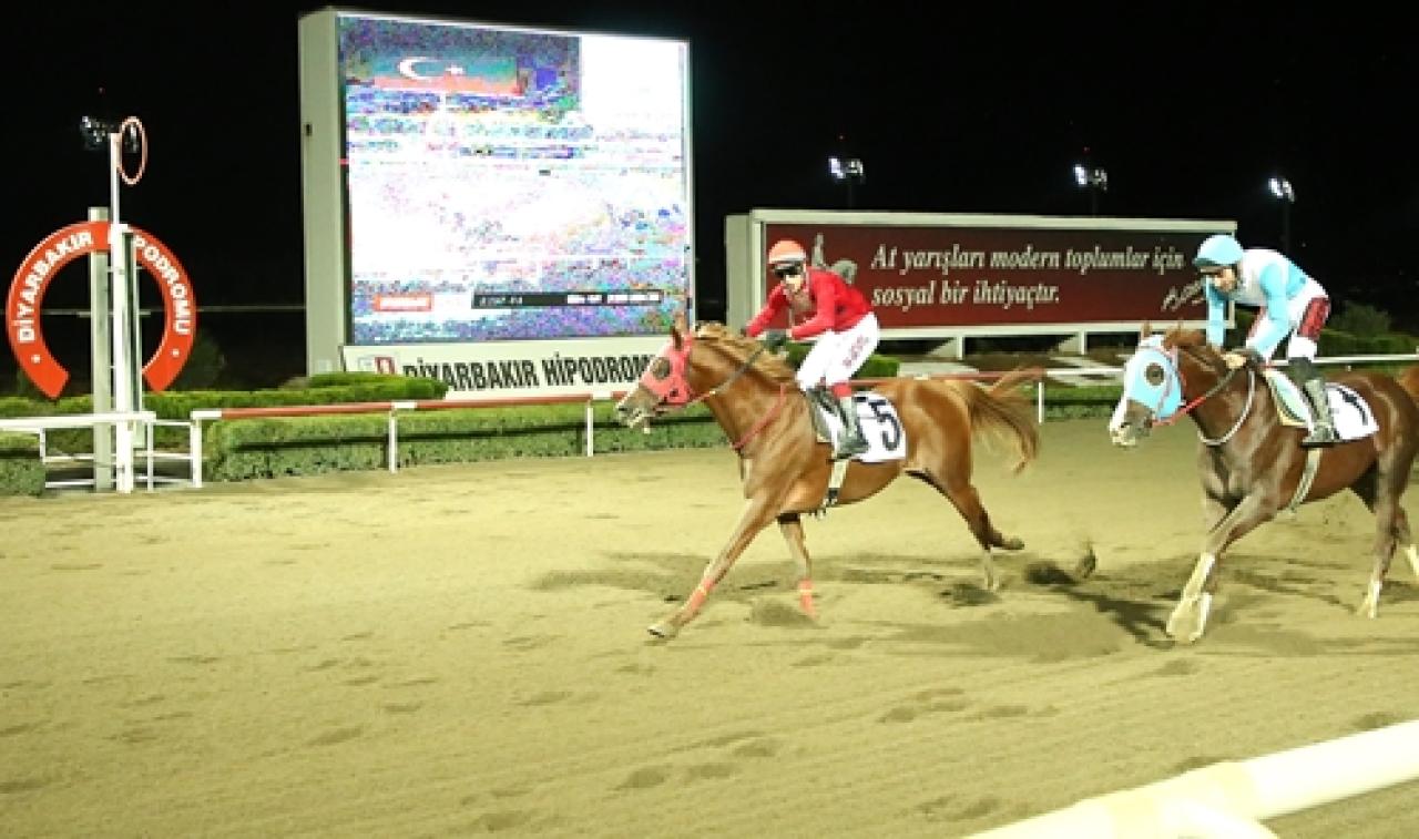 Diyarbakır Vali Koşusu’nda galibiyete Hilvanlıoğlu uzandı