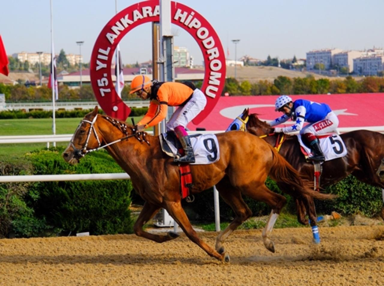 Ankara Kalesi Koşusu’nda zafere ulaşan Wardenclyffe oldu