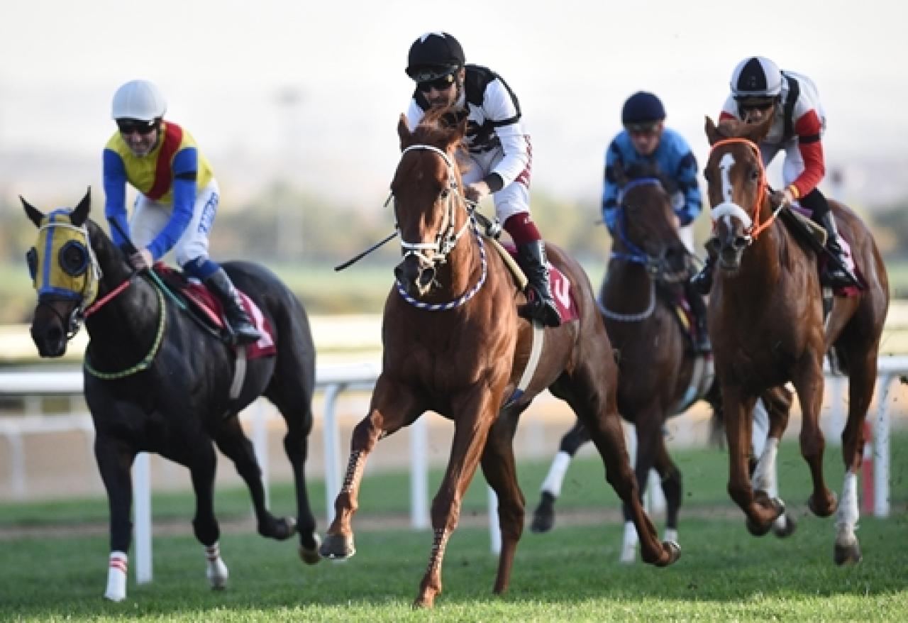 Ömer Kaya Koşusu'nu Alpingo kazandı