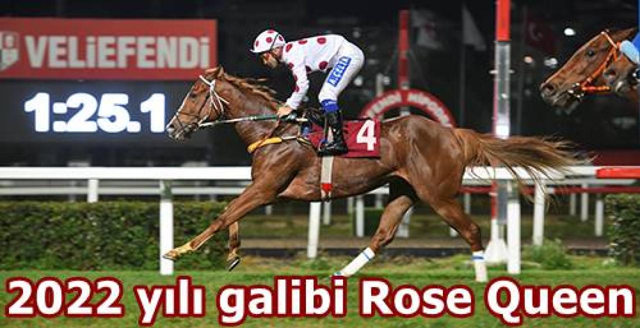 Merhum Asli Üyemiz Tulga Yüzatlı'yı saygıyla anıyoruz