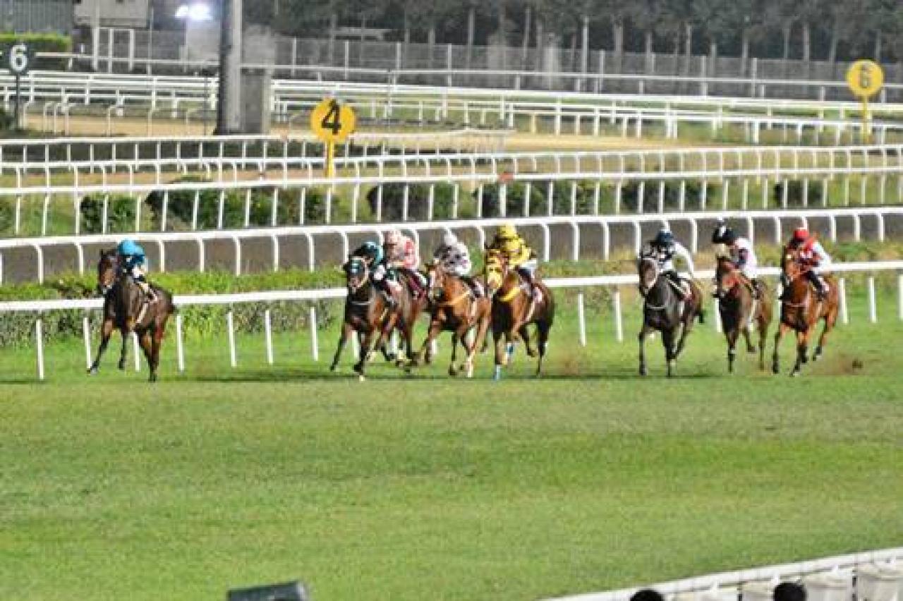 Tulga Yüzatlı Koşusu'nu The Beautiful Ece kazandı