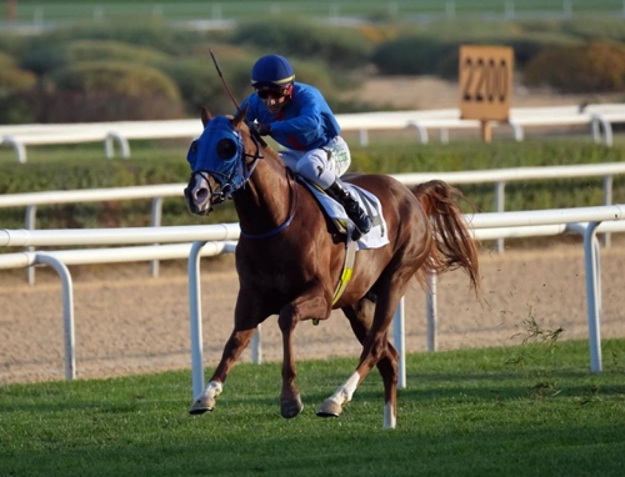Necip Fazıl Kısakürek Koşusu’nu İsyan Ateşi kazandı