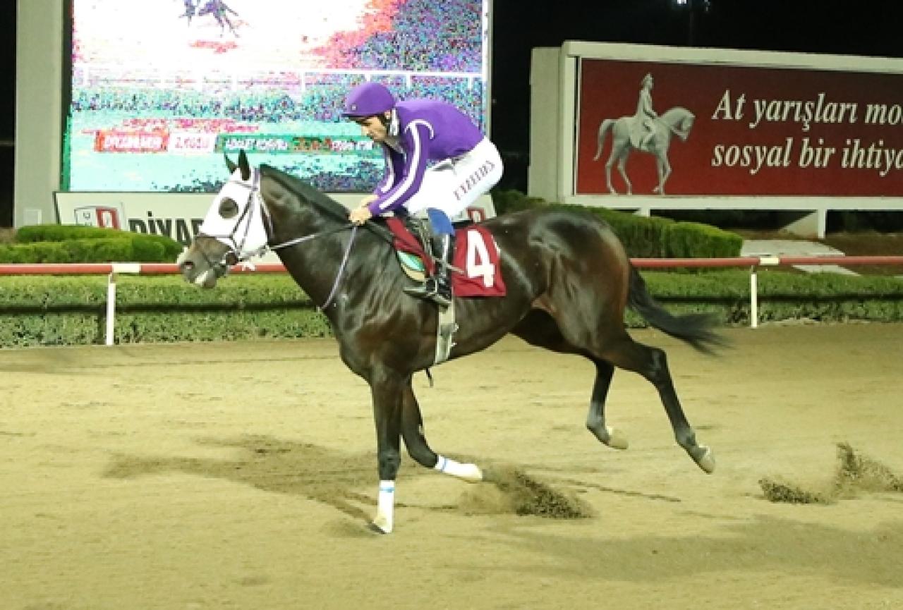 Adalet Koşusu’nu Calibration kazandı