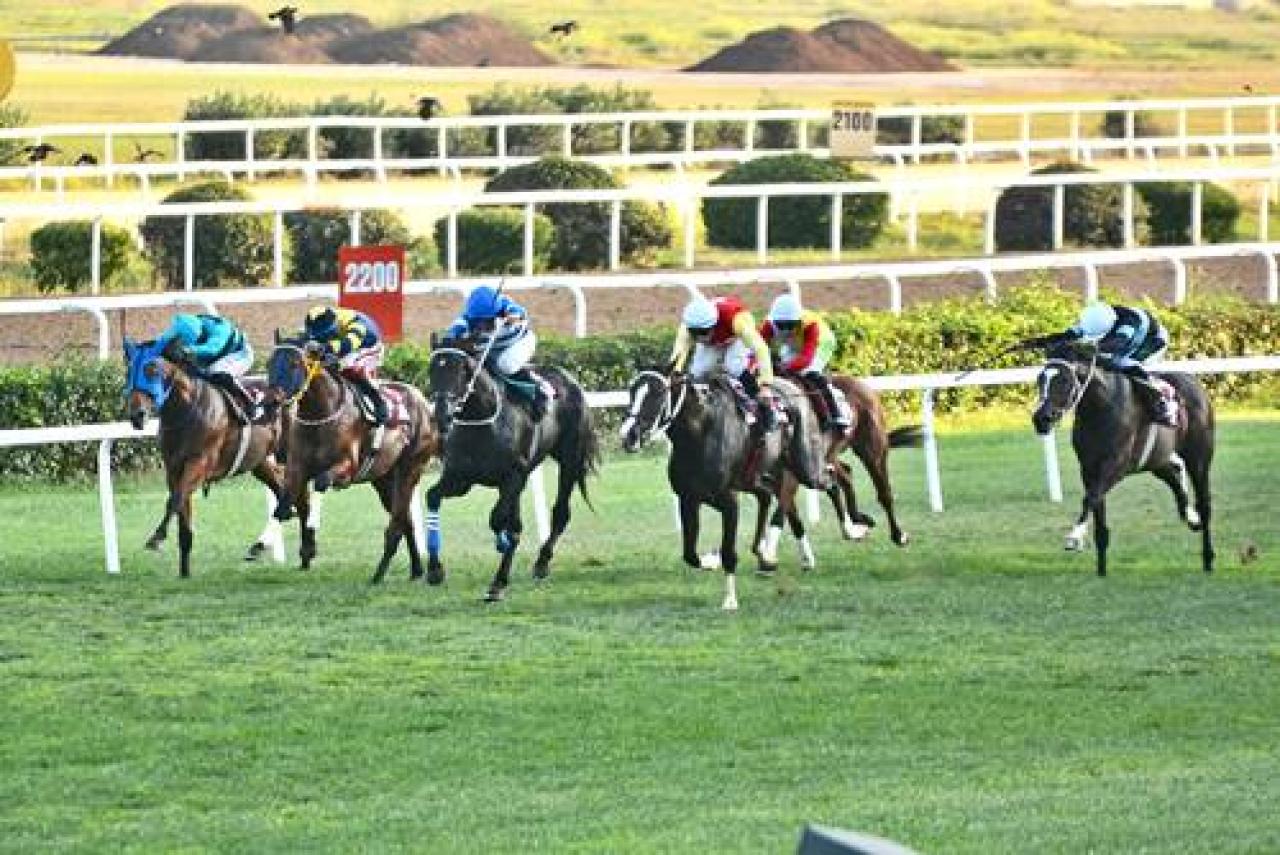 Fikret Çınaryılmaz Koşusu'nun kazananı Ride The Lightning