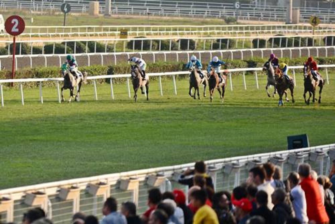 İstanbul Vali Koşusu'nun galibi Soydere oldu