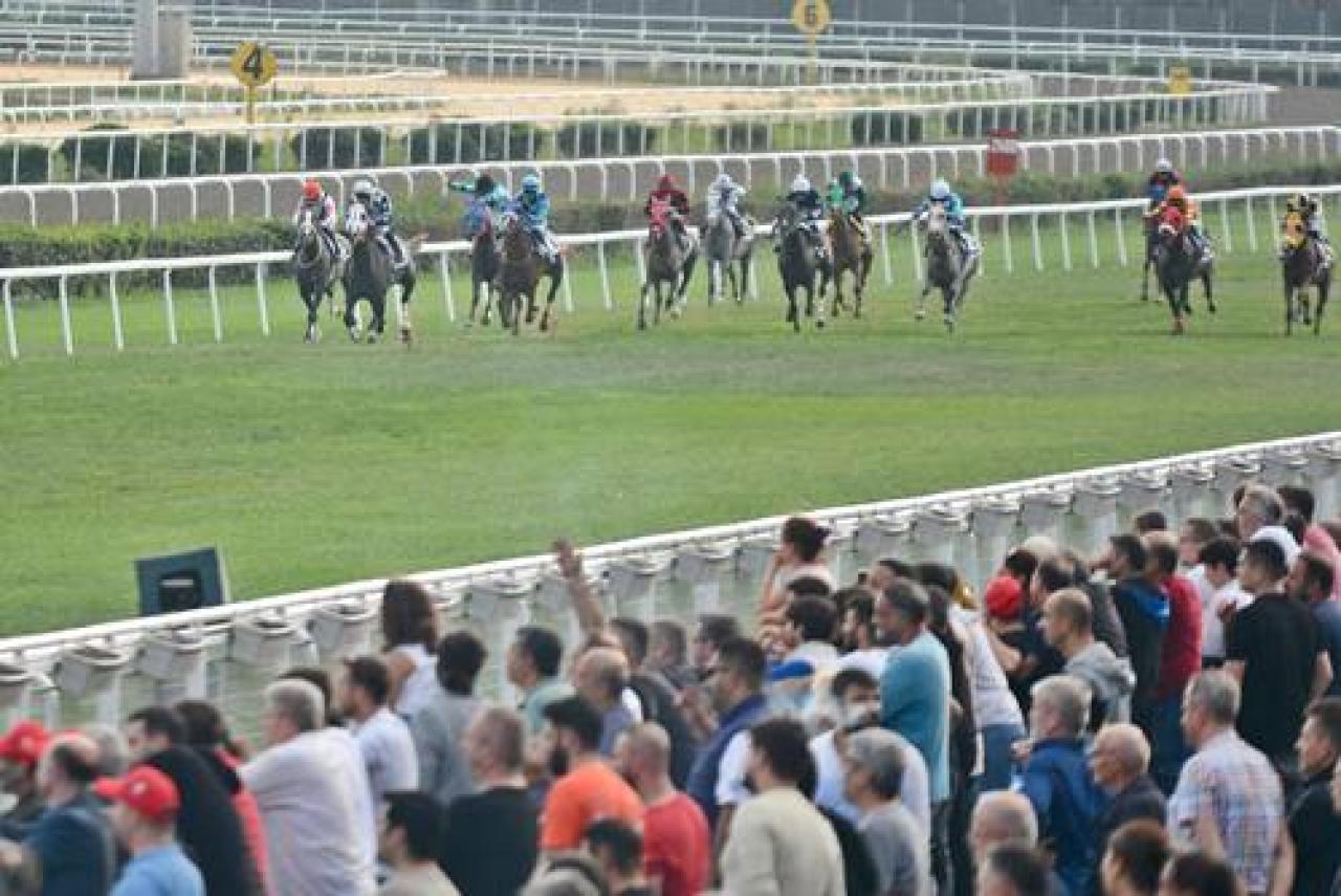 Hazım Rıza Gözlükçü Koşusu'nu Biletçi Kız kazandı