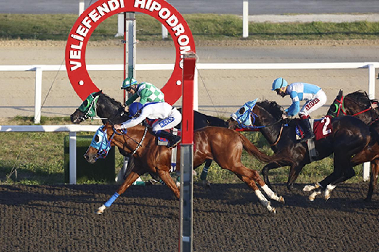 Merhum Asli Üyemiz Prof. Dr. Sedat Katırcıoğlu'nu saygıyla anıyoruz