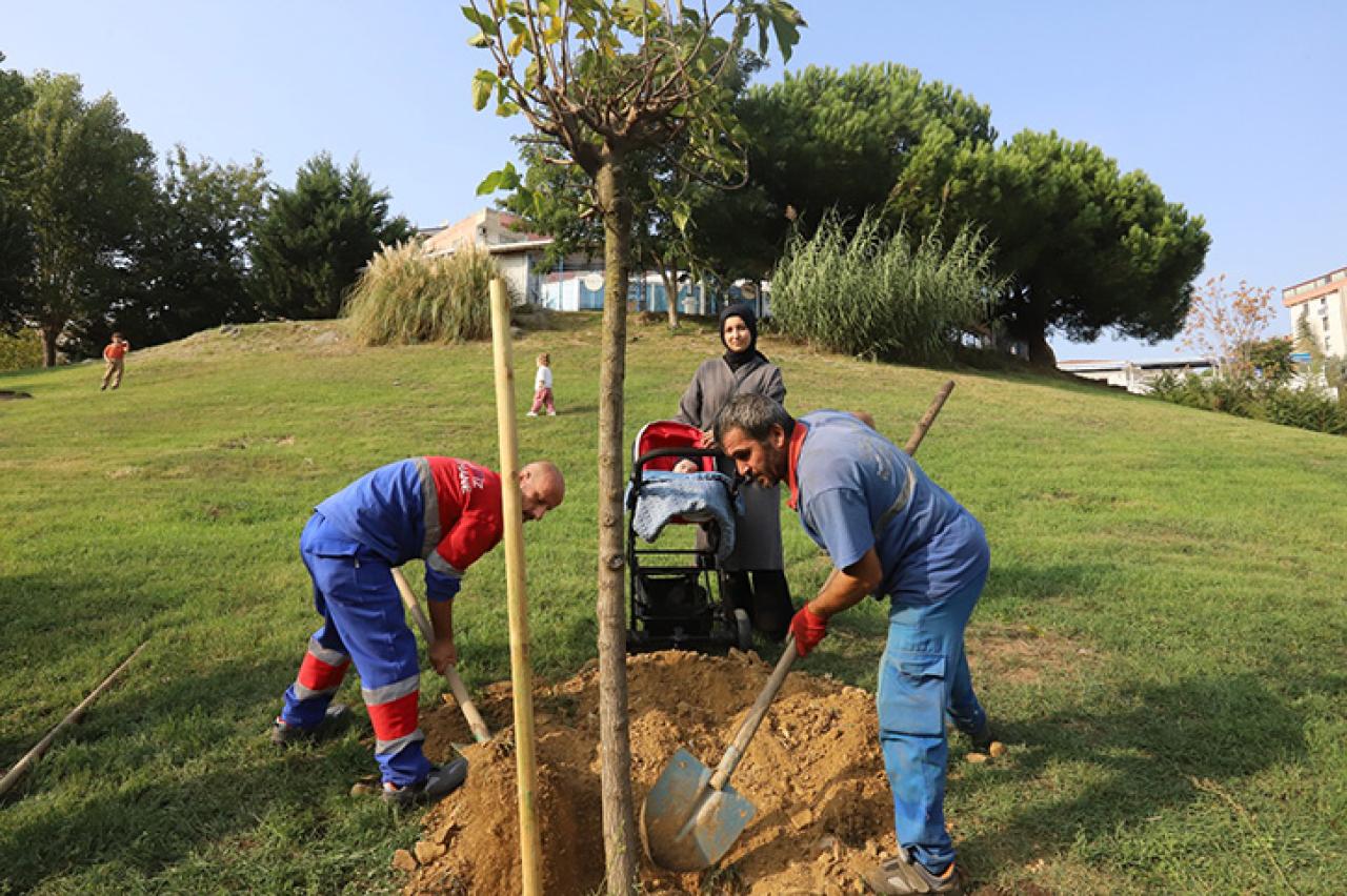 KAĞITHANE'DE 2 BİN 300 BEBEK ADINA AĞAÇ DİKİLDİ