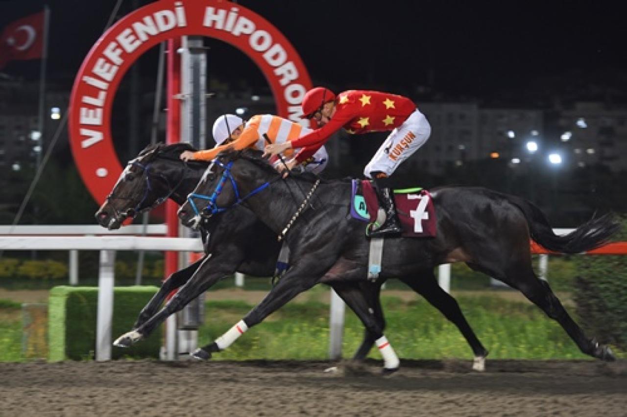 Prof. Dr. Sedat Katırcıoğlu Koşusu'nu Captain Fantastic kazandı