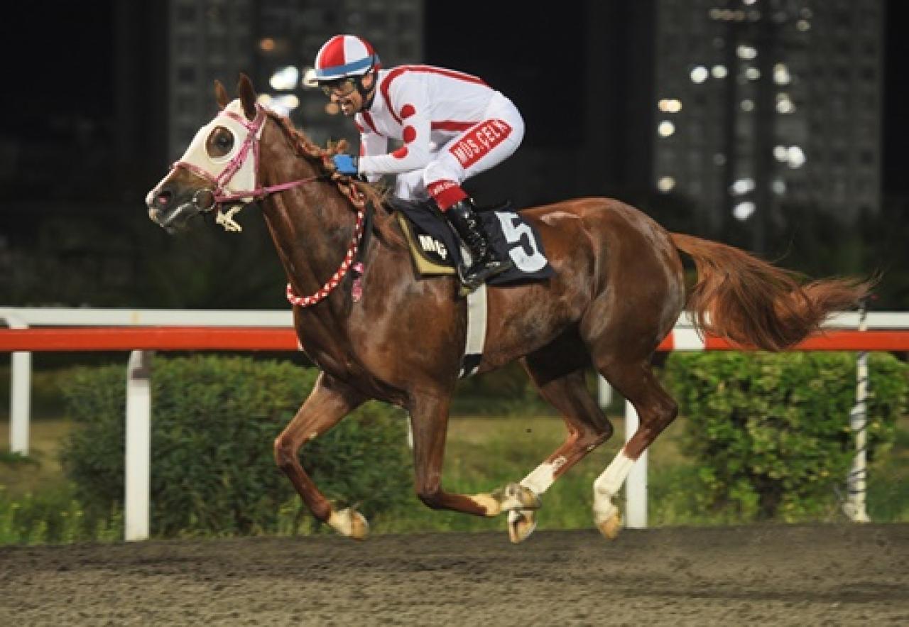 Türk Böbrek Vakfı Koşusu'nu Eparven kazandı