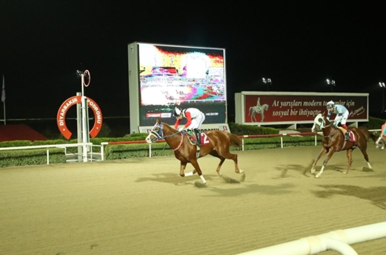 Tahir Polat Koşusu’nda kazanan Bozkara oldu