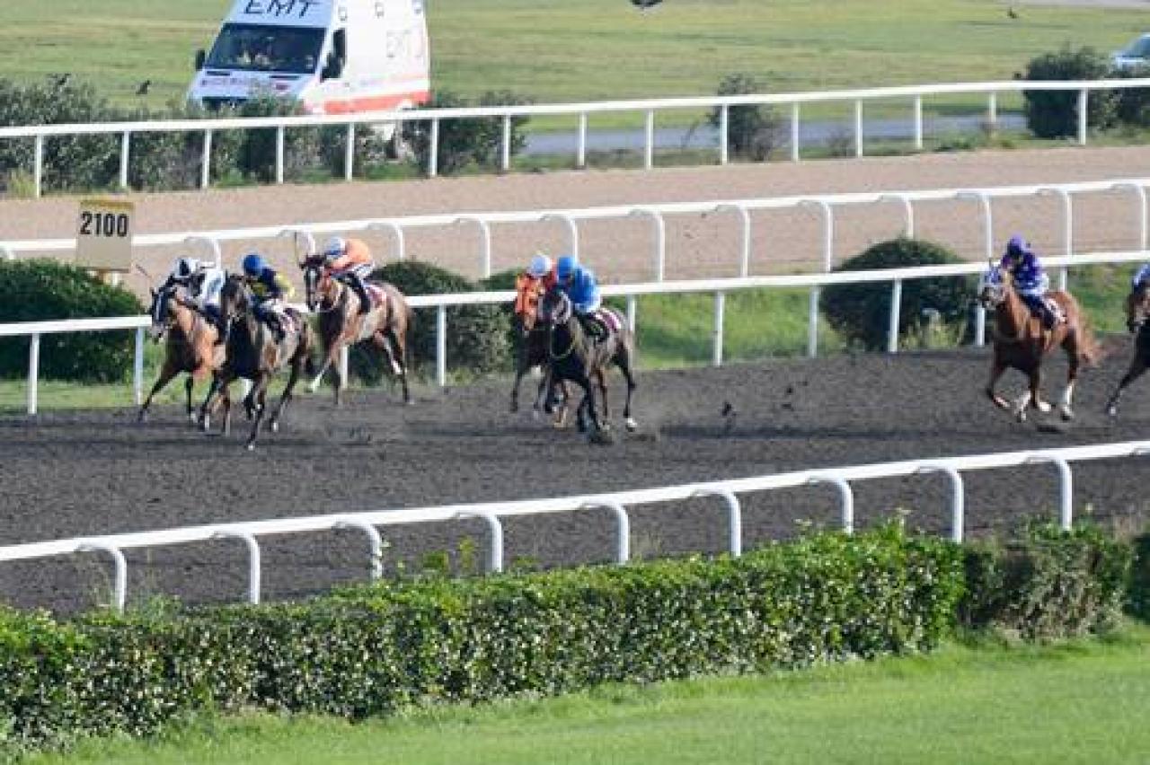 Şevket Belgin Koşusu'nun galibi Flying Spice oldu