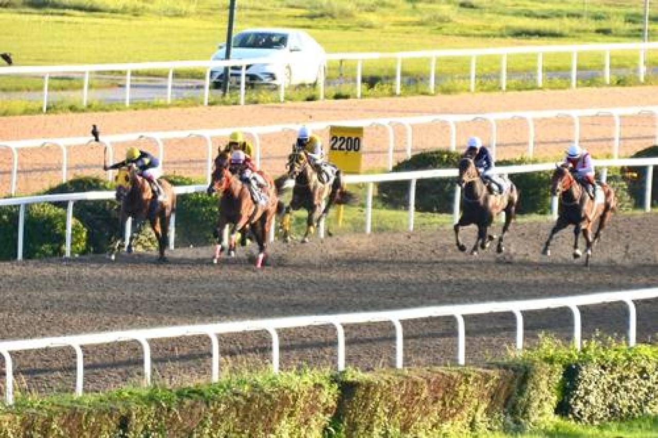 Atıf Esenbel Koşusu'nda galibiyete Grasyas uzandı