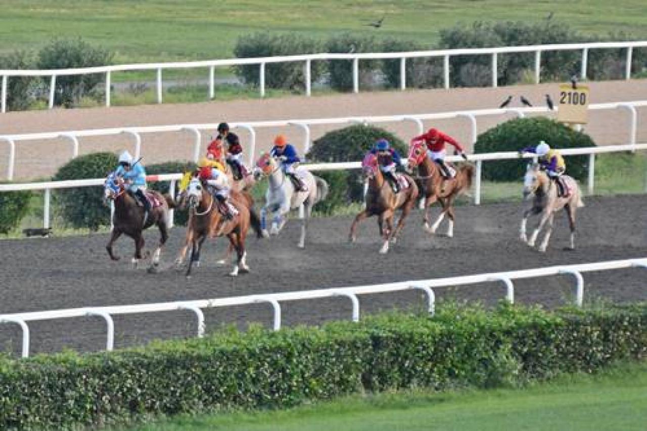 LÖSEV Koşusu'nu Tunç Siperi kazandı