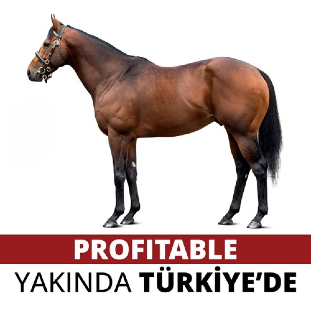 PROFITABLE yakında Türkiye’de!