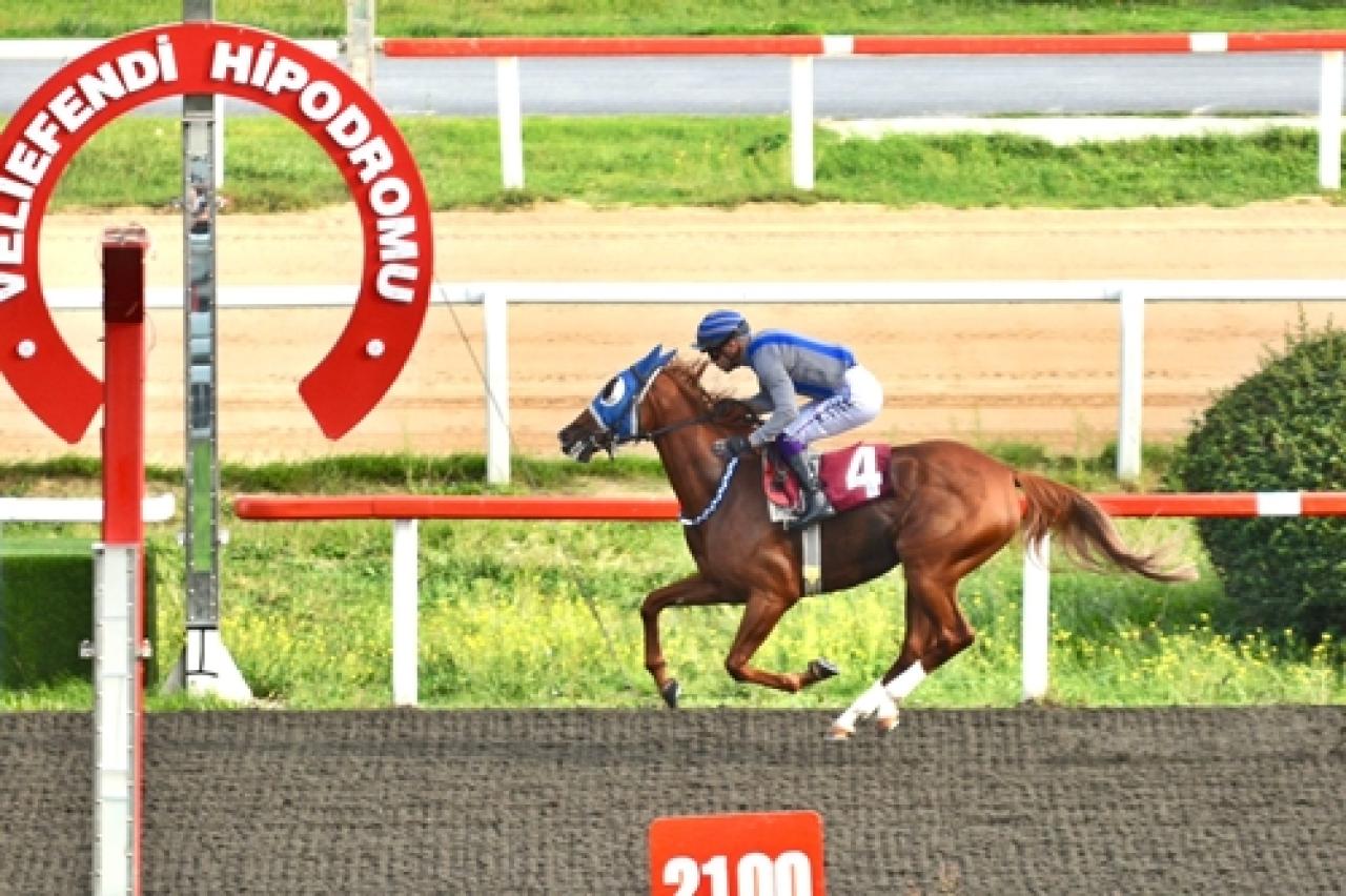 M. Fethi Tulgar Koşusu'nda Topaz Girl beyaz bayrak ayna yaptı