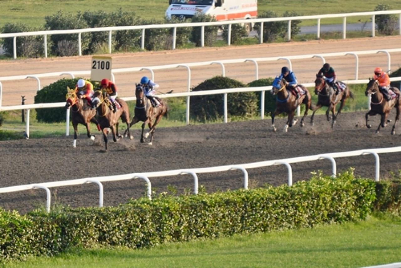 Nur Kutnak Koşusu'nu Pitfall kazandı