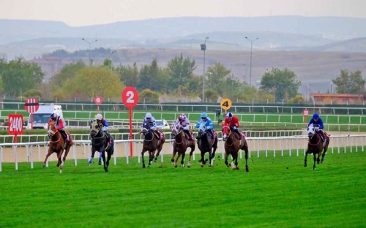 TEMA Vakfı Toprak Yaşamdır Koşusu'nu Turdemirkır kazandı