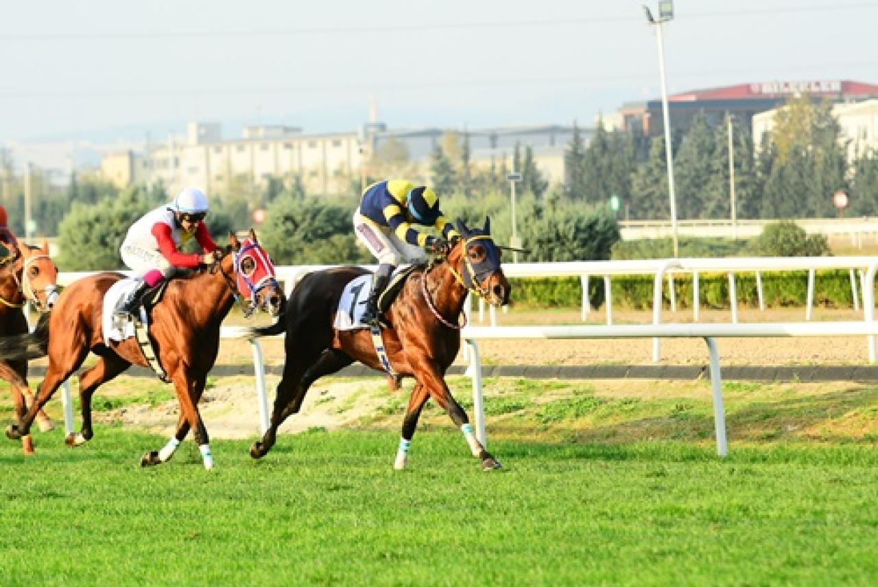 Bursa'da düzenlenen A3 koşuyu Baahubali kazandı