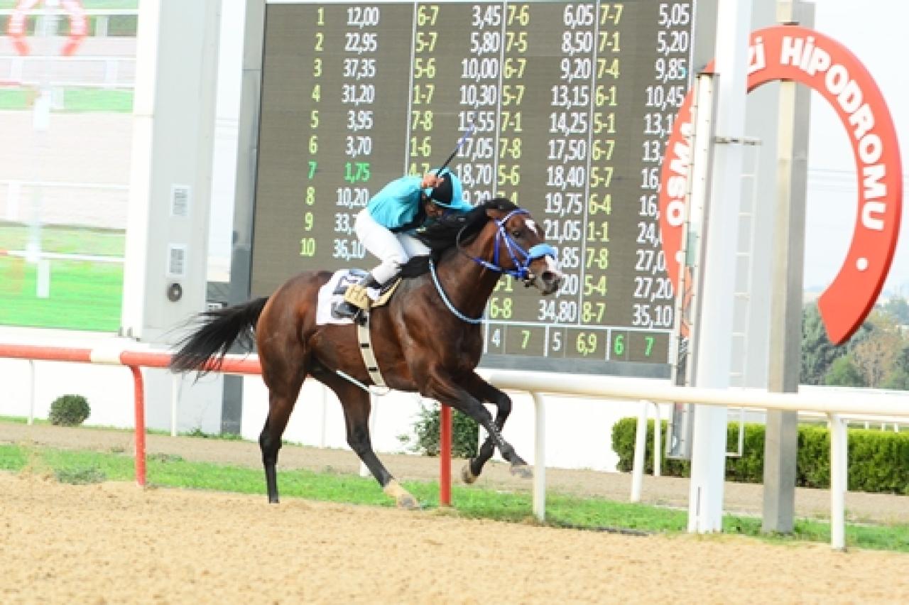 Yeşil Bursa Koşusu'nu üst üste ikinci kez Mavi Kılıç kazandı