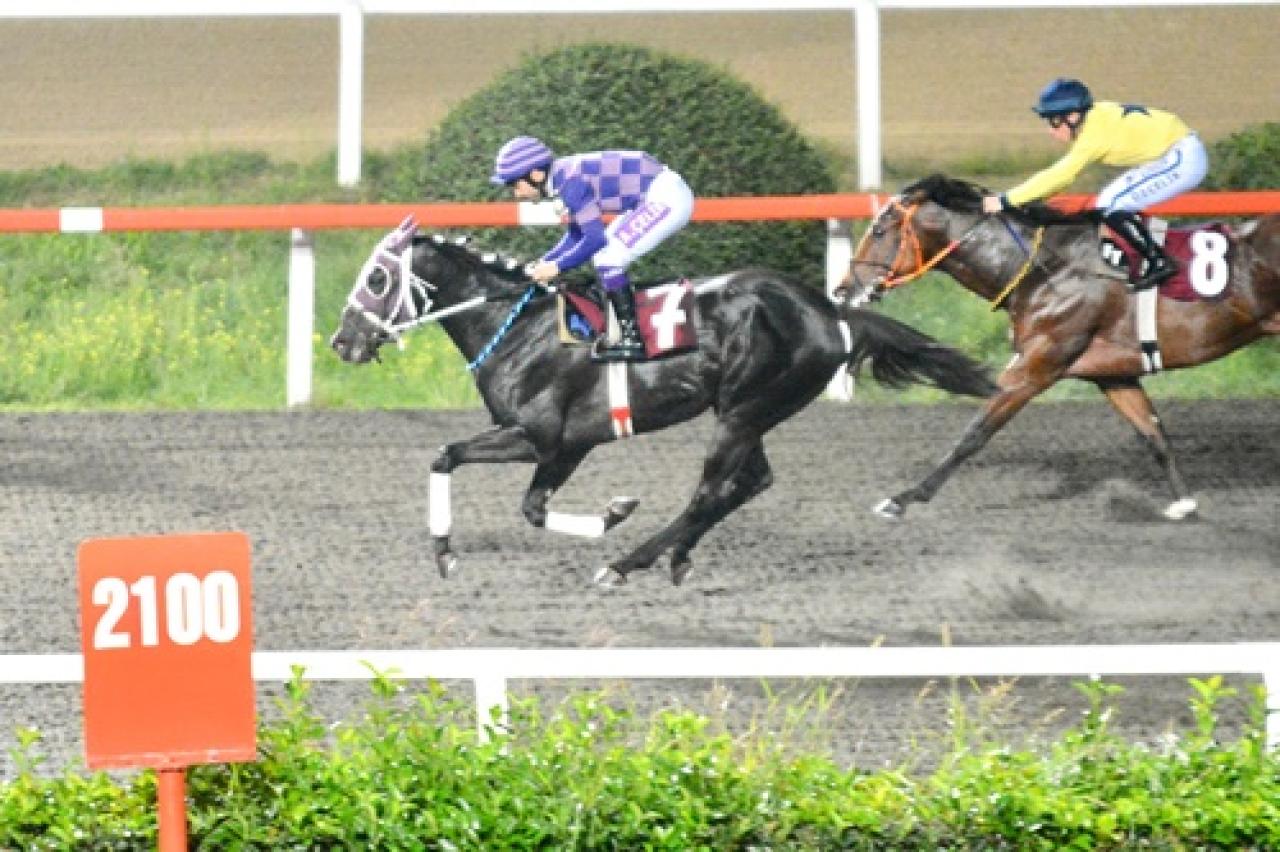 Hasan Polat Koşusu'nu İshakhan kazandı