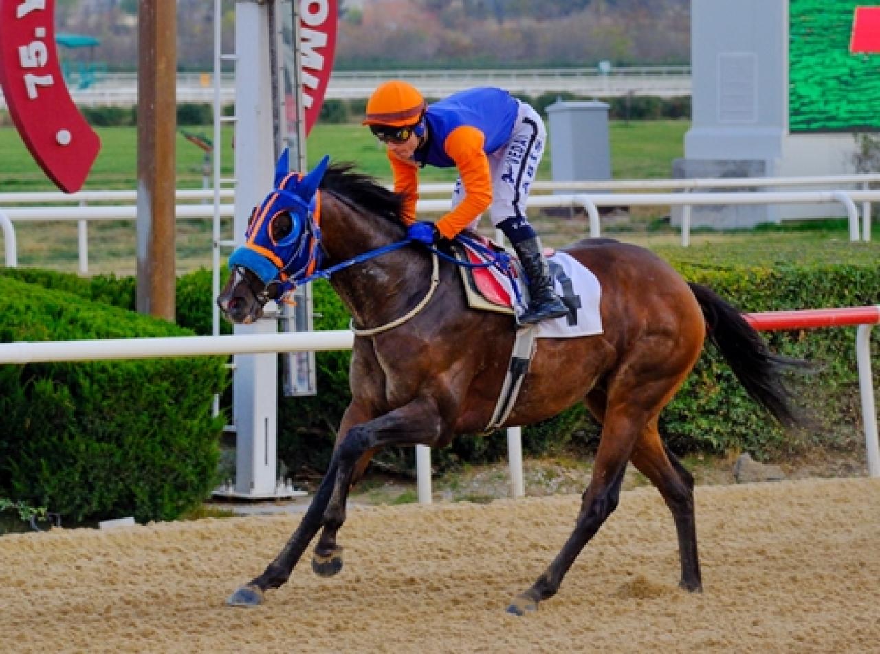 Hitit Koşusu’nu Son Of Cooger kazandı