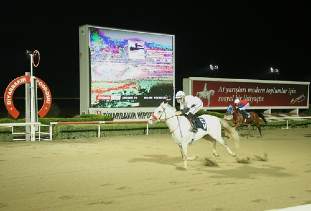 Dicle Üniversitesi Veteriner Fakültesi Koşusu'nu Hilvanlım kazandı