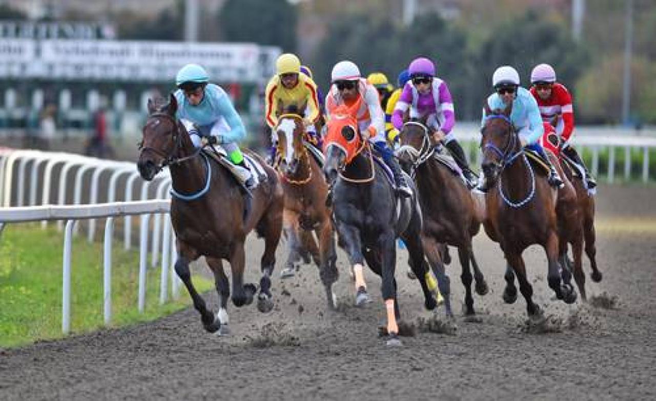 Ayasofya Koşusu'nu General Briella kazandı