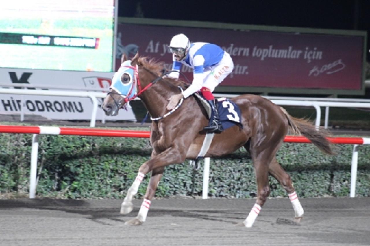 Şanlıurfa'da Sonbahar - Kış Sezonu başladı