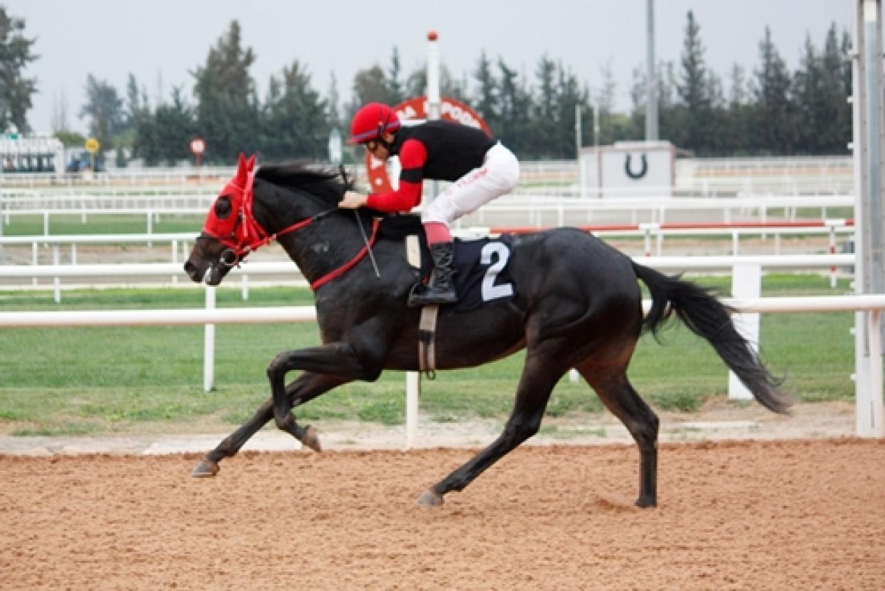 Adana’da Sonbahar - Kış Sezonu başladı