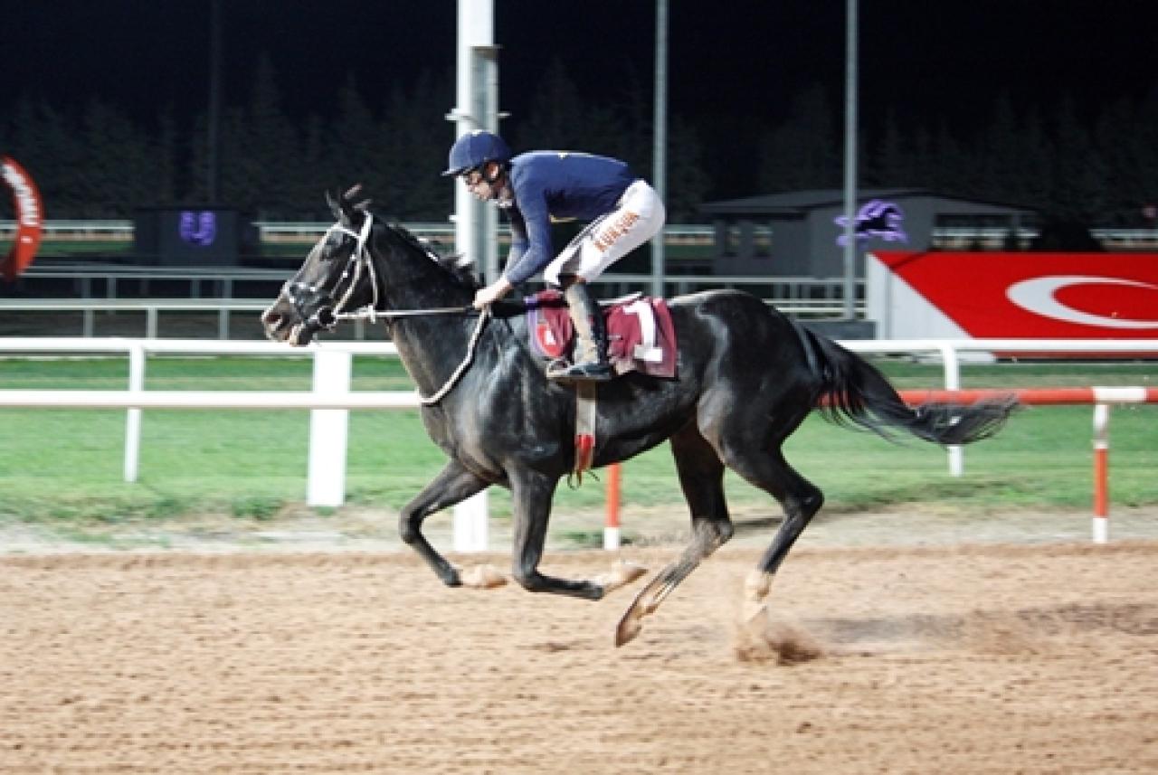 Taşköprü Koşusu’nda galibiyete Jawinger ulaştı