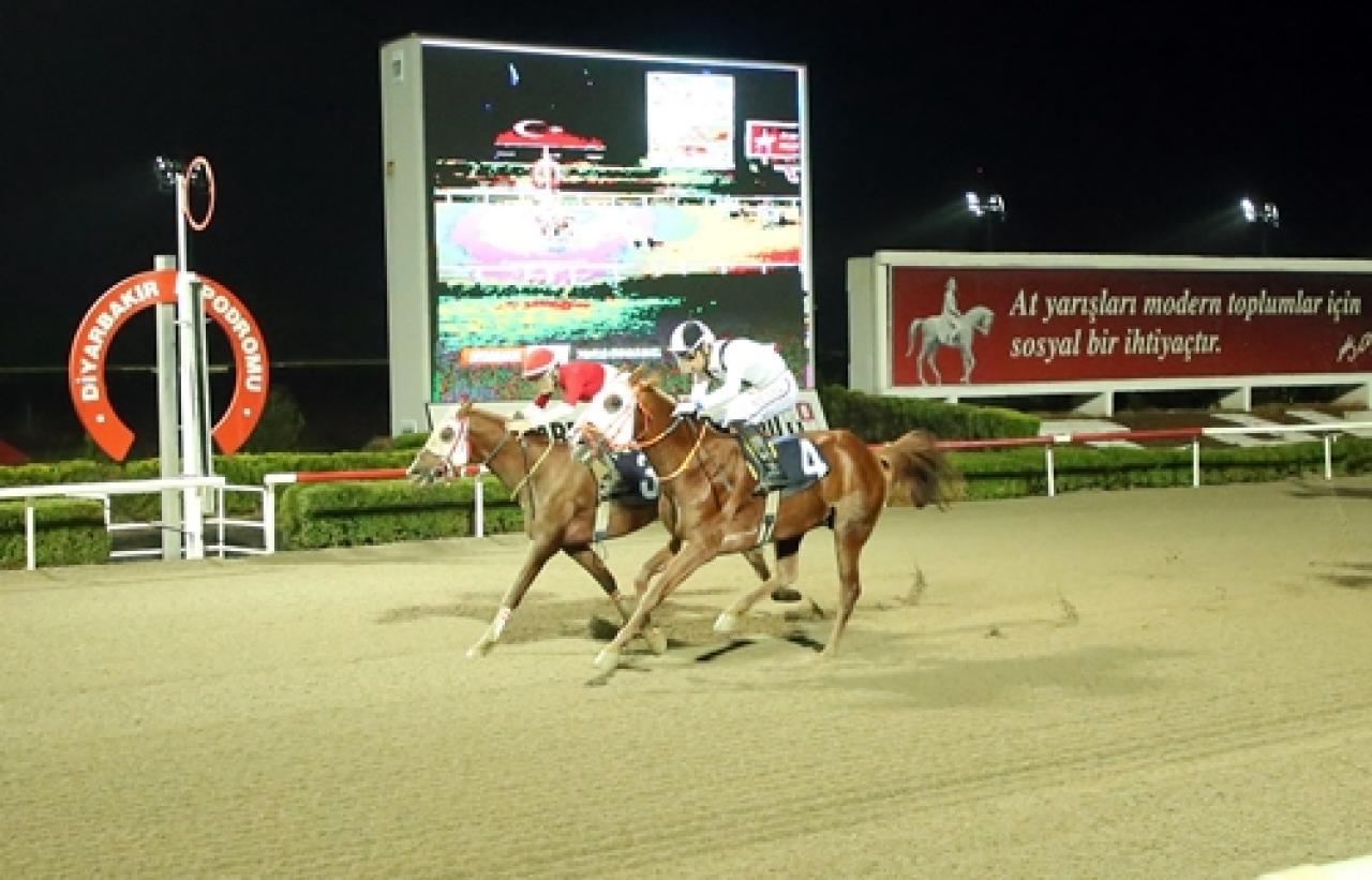Diyarbakır Bölgesi Veteriner Hekimler Odası Koşusu’nu Baba Mercan kazandı