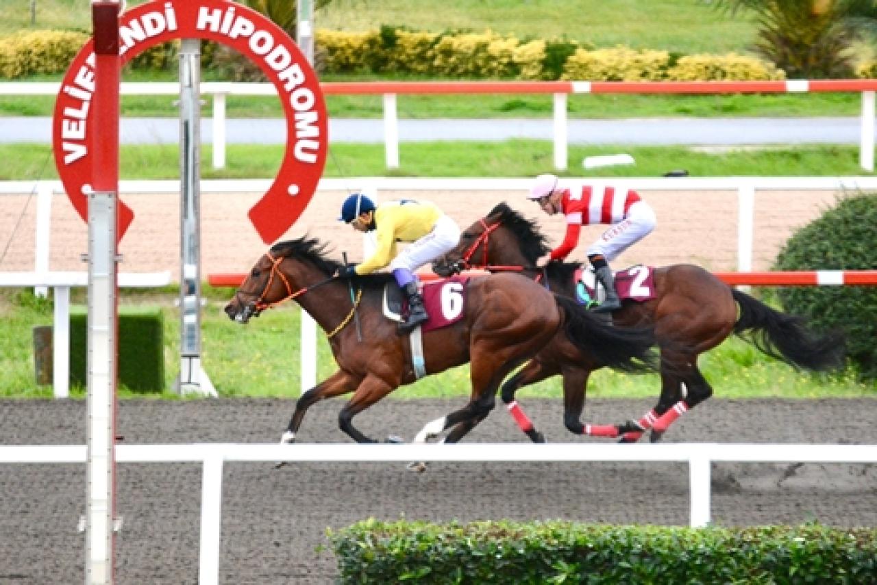 Celalettin Çubukçu Koşusu’nda galibiyete ulaşan Edgar oldu