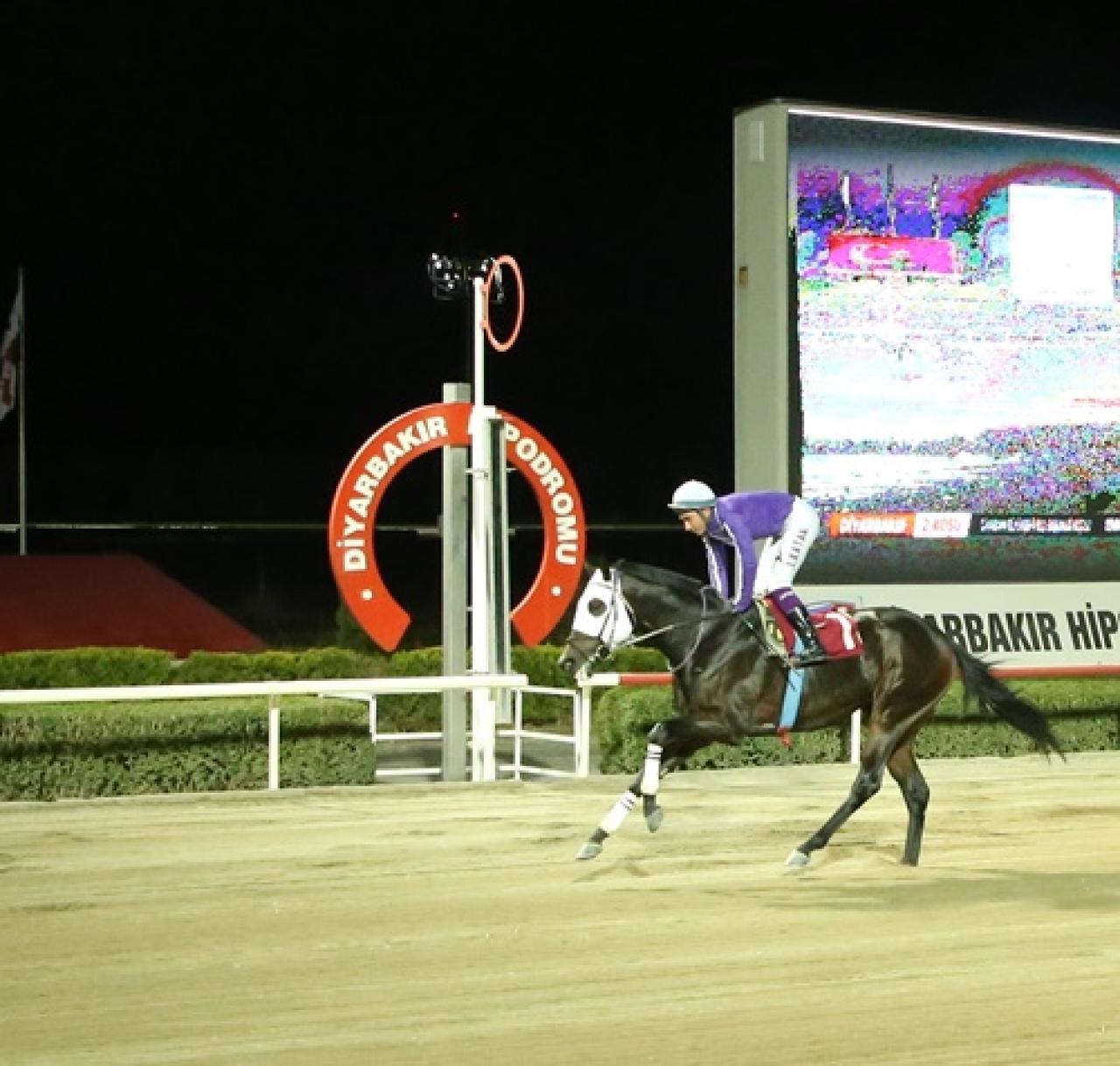 Diyarbakır Büyükşehir Belediye Başkanlığı Koşusu'nu Calibration kazandı