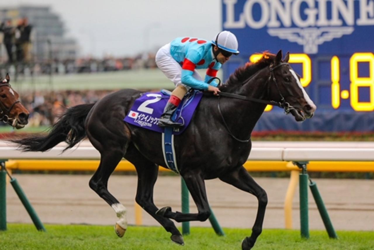 43. Japan Cup’ta zafere Equinox zorlanmadan ulaştı