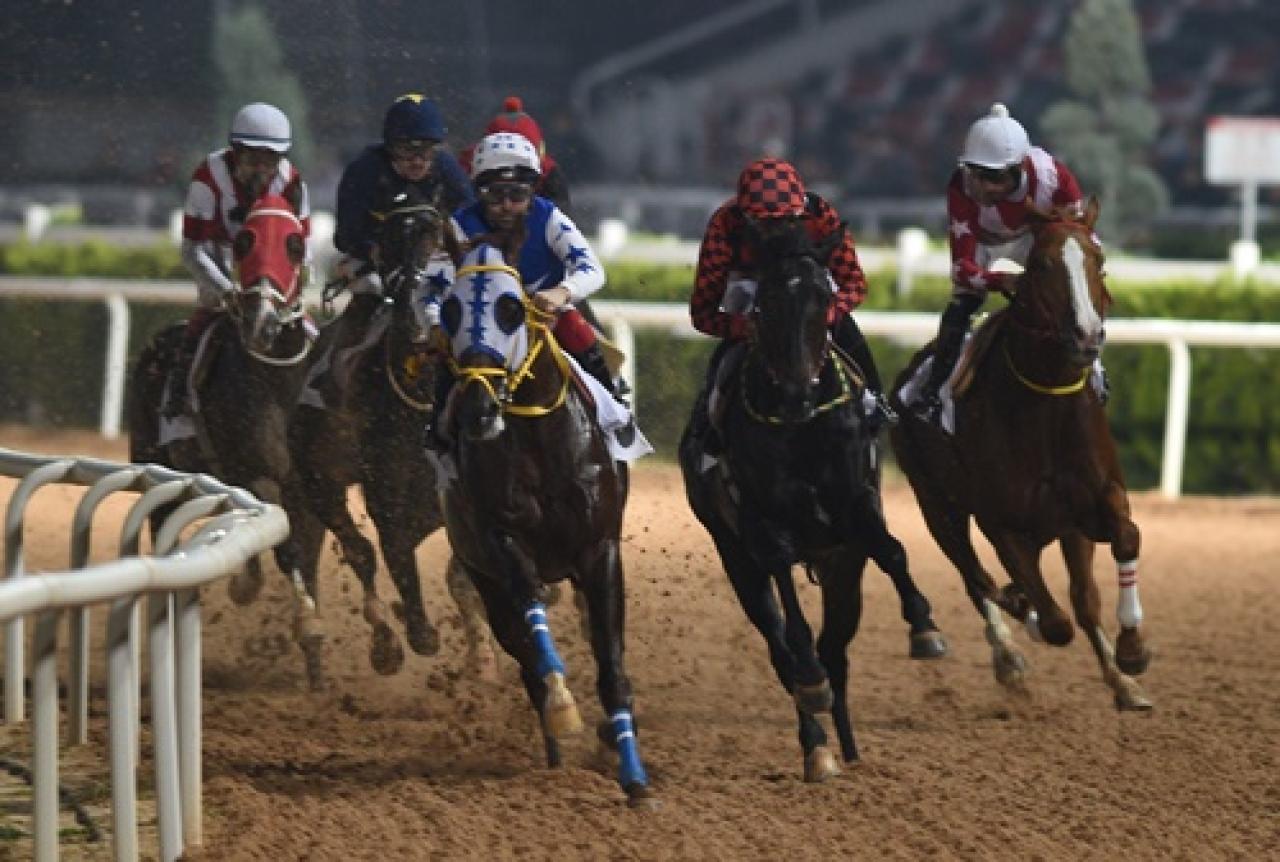 Hasan Basri Karabucak Koşusu'nu Jawinger kazandı