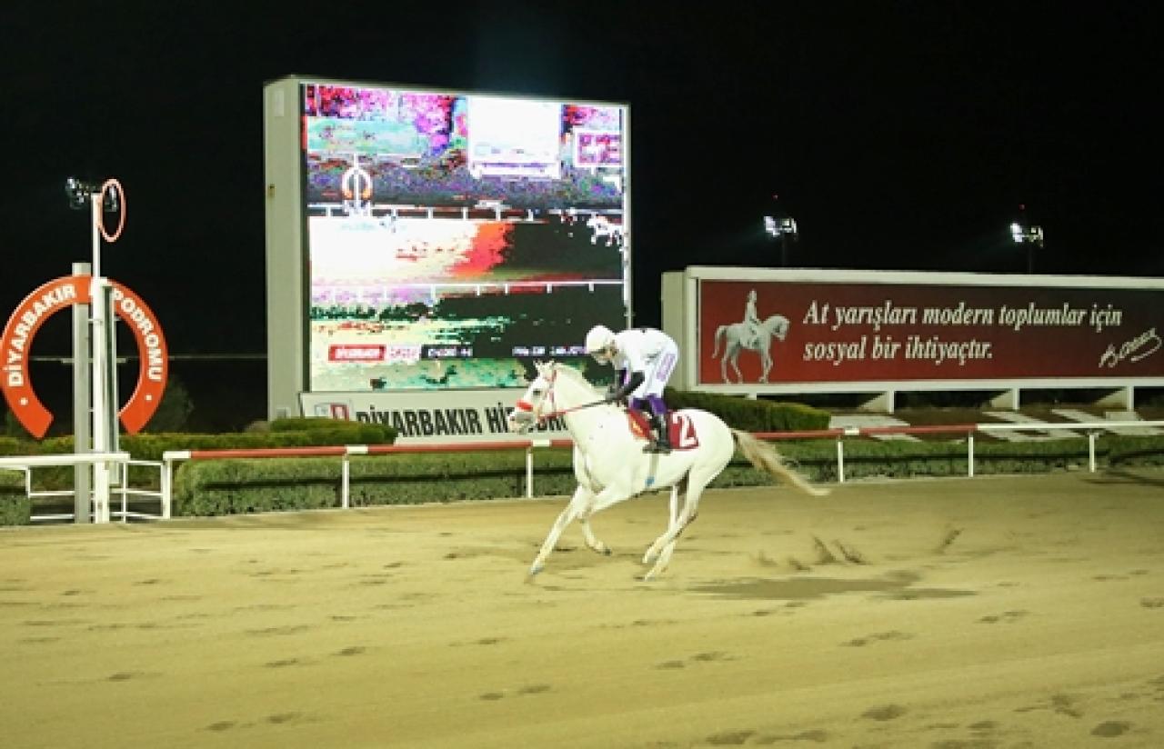 Güneydoğu Spor Yazarları Derneği Koşusu’nu Hilvanlım kazandı