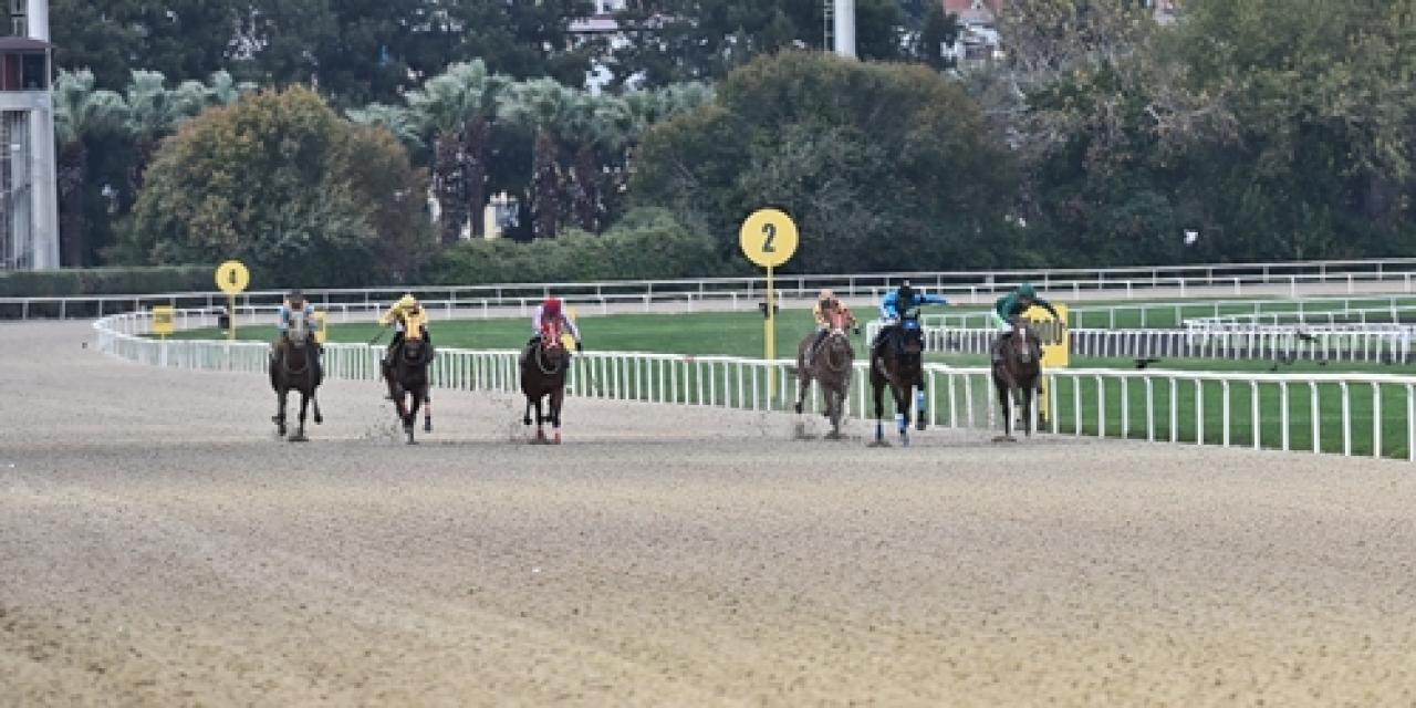 İzmir Çiftçileri Koşusu'nu Sweet Sacrifice kazandı