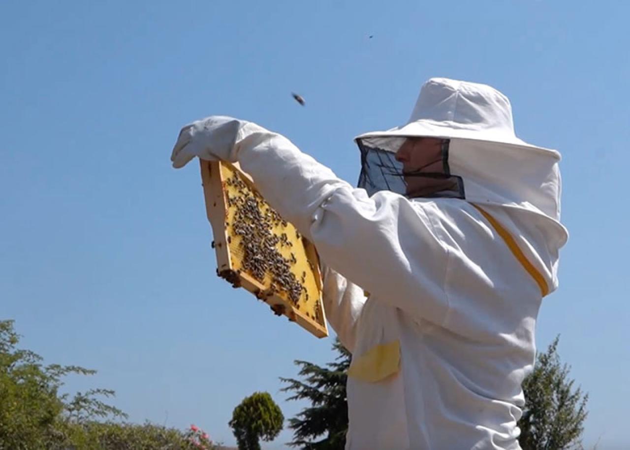 Tuzla’da Arıcılık Kursu’nu Tamamlayan 40 Kursiyer Sertifika Almaya Hak Kazandı