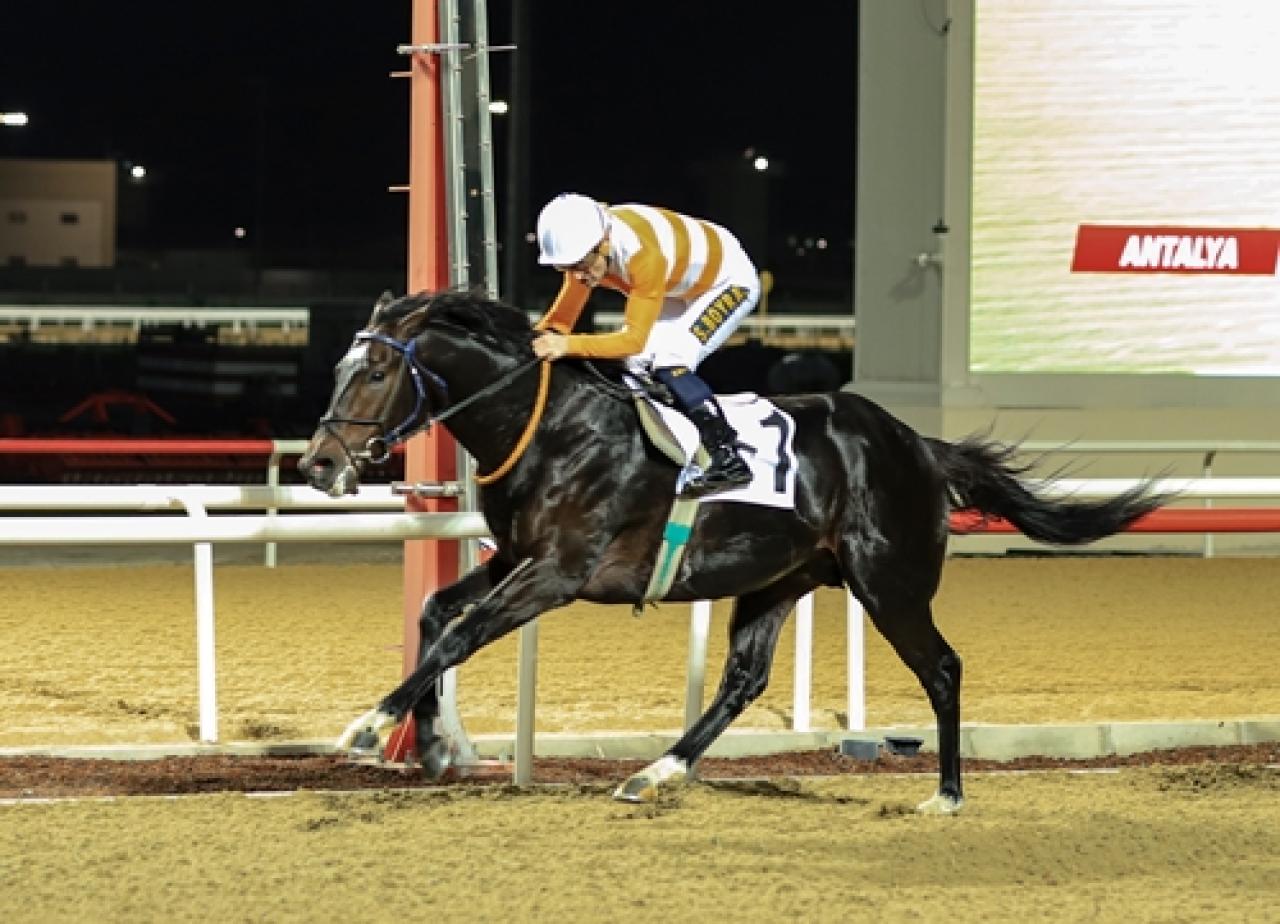 Antalya’daki G3 koşuda Captain Fantastic pist rekoru kırdı