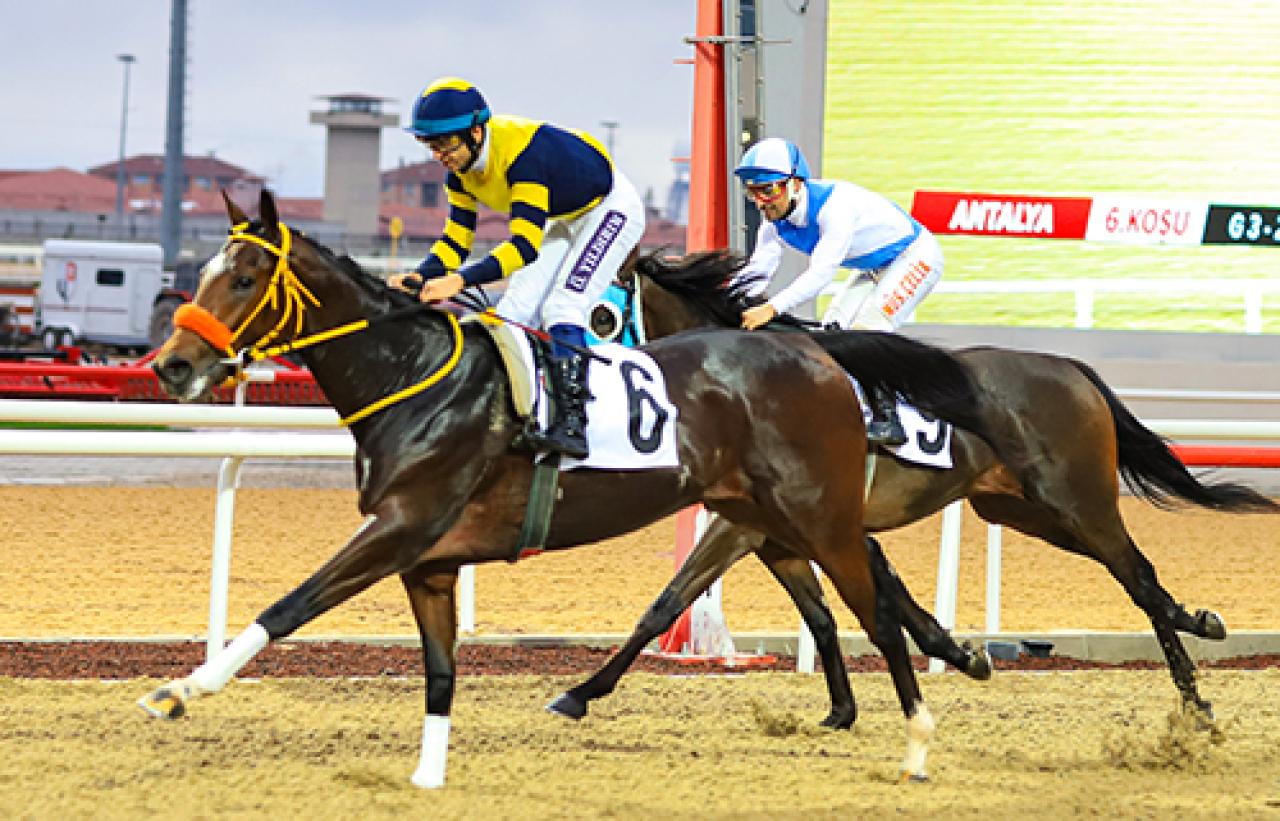 Antalya’da düzenlenen Açık – G3 Koşuyu Madras kazandı